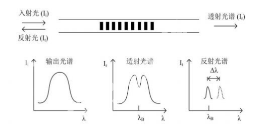 光纤光栅表面式应变传感器